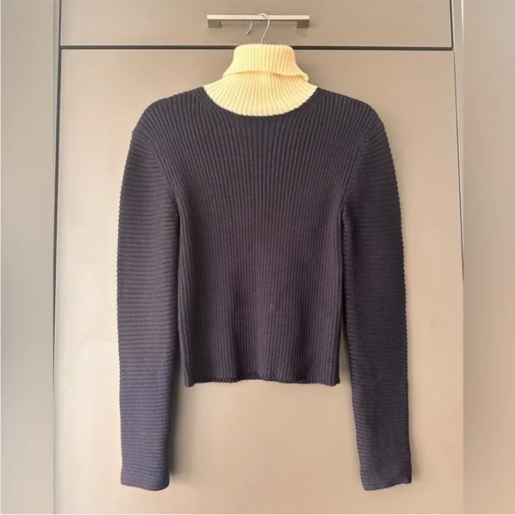 Acne Studios Bryn Clean Wool Roll Neck Sweater